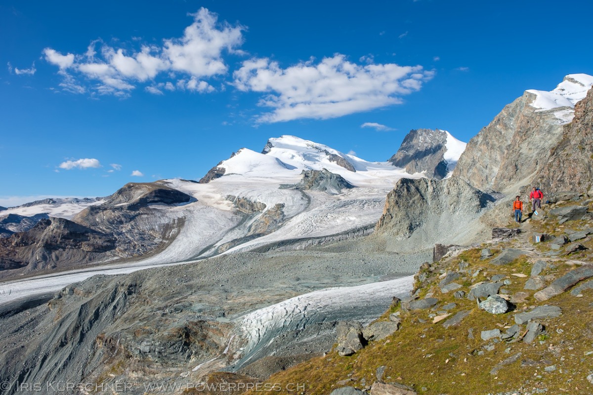 <p>Glaciertrail, Blick von der Britanniahütte zu Strahlhorn, Rimpfischhorn, Allalinhorn</p>