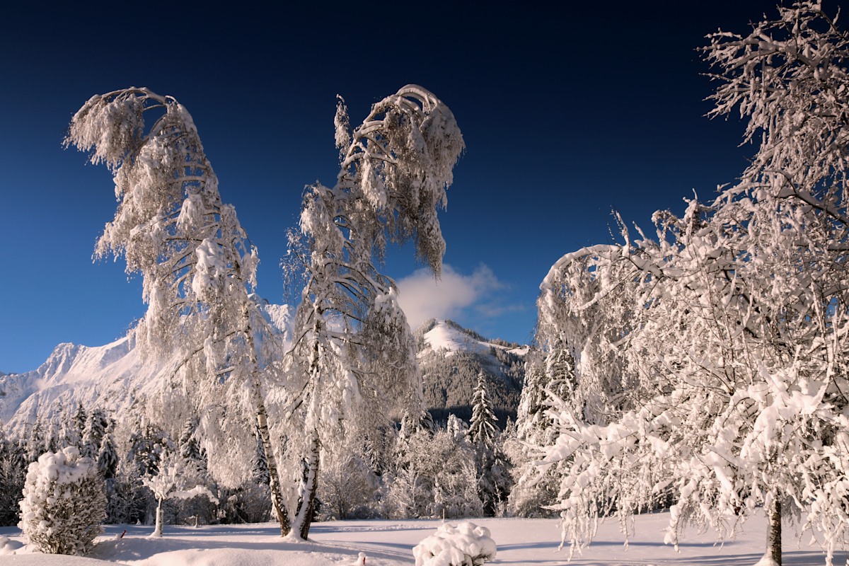 3. Platz: Josef Greiderer