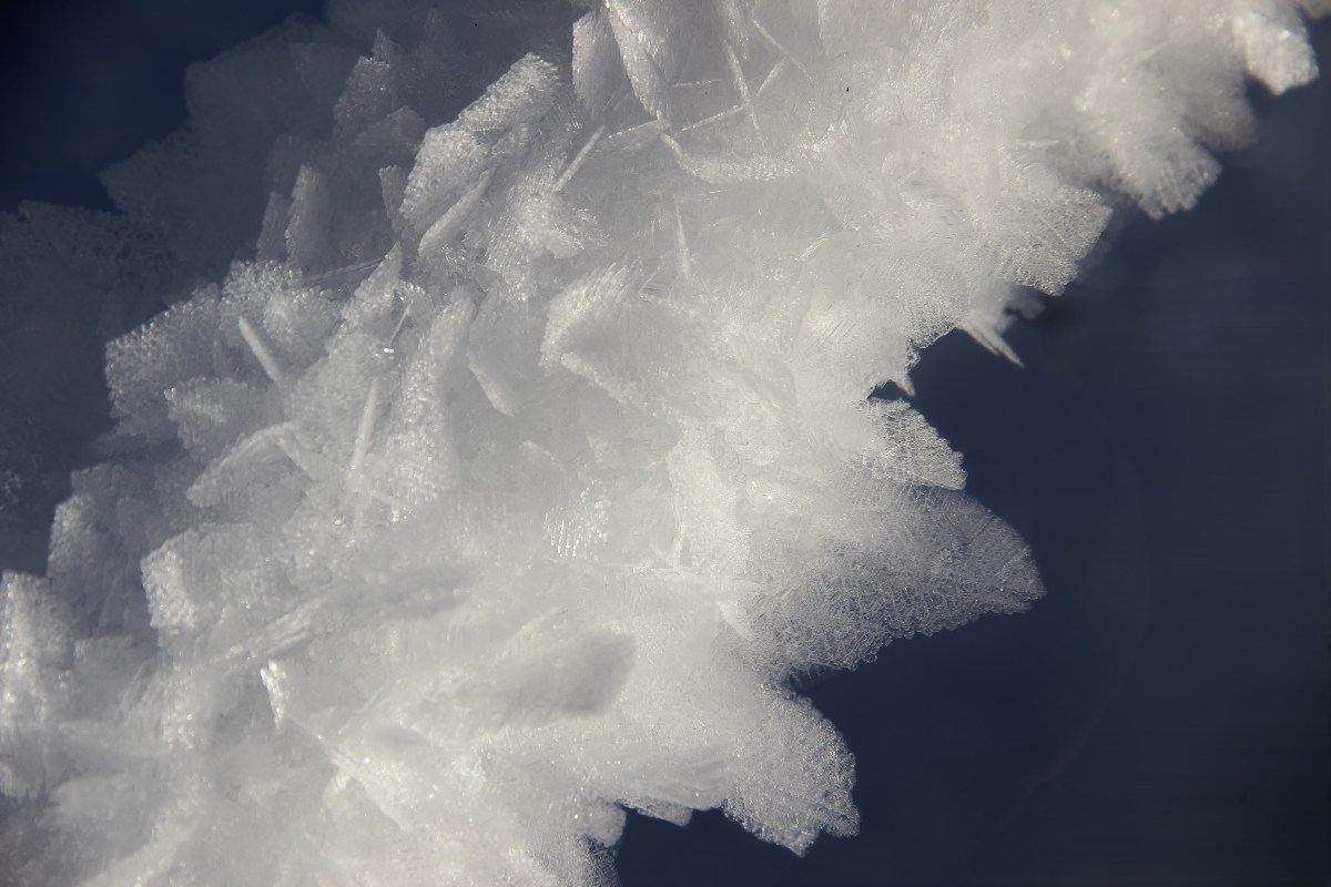 5. Platz: Martina Ulrich