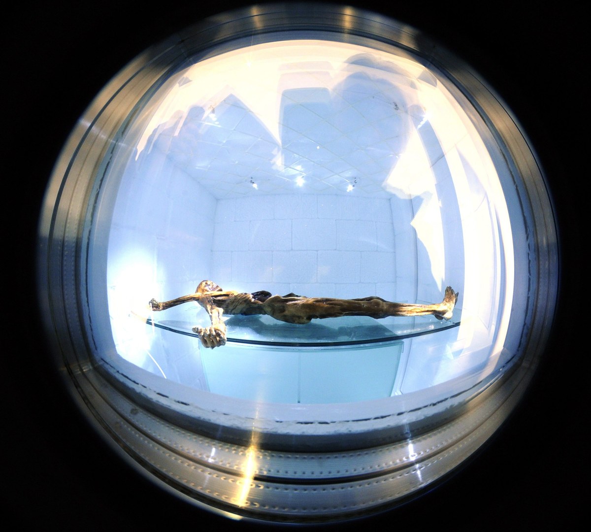 32 Jahre Ötzi-Fund