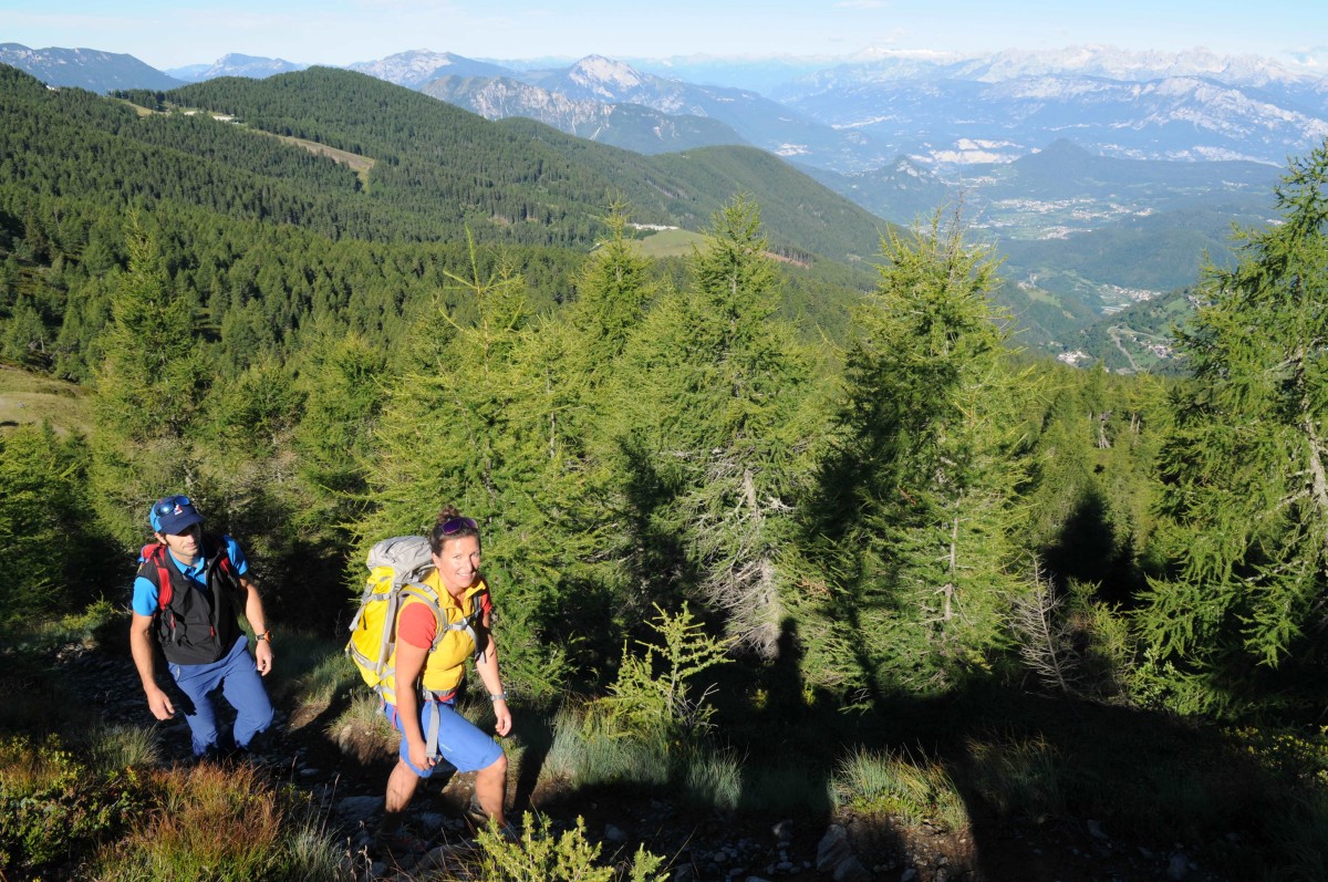 <p>Auf dem Weg zum Monte Fravort wandert man in einem schönen Lärchenwald bergan.</p>