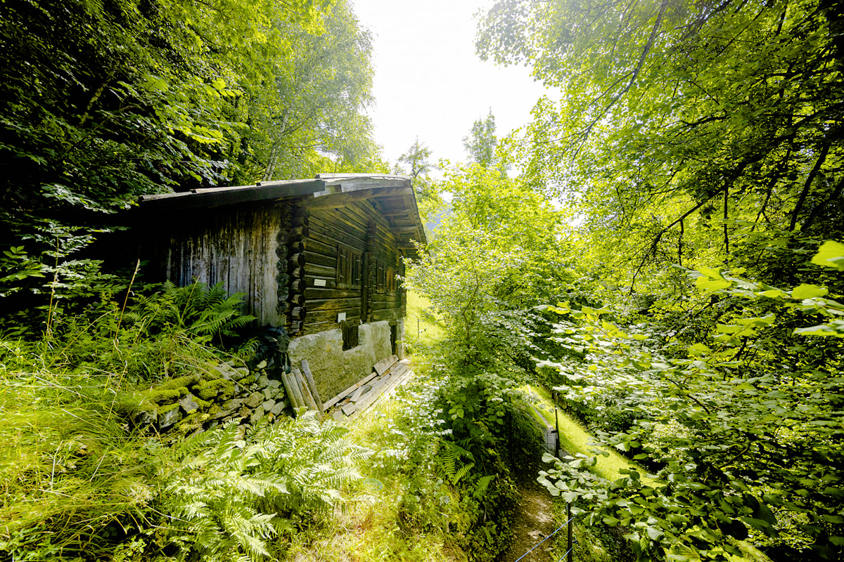 Talweg Schruns – St. Gallenkirch: 