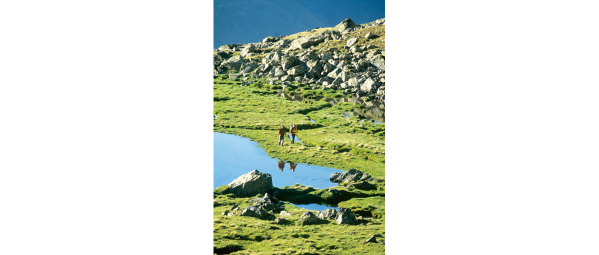 Freie Sicht nach allen Seiten