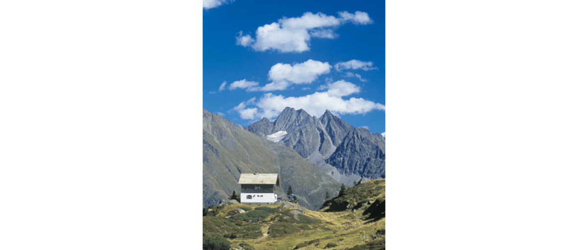 Lockvogel im Geigenkamm