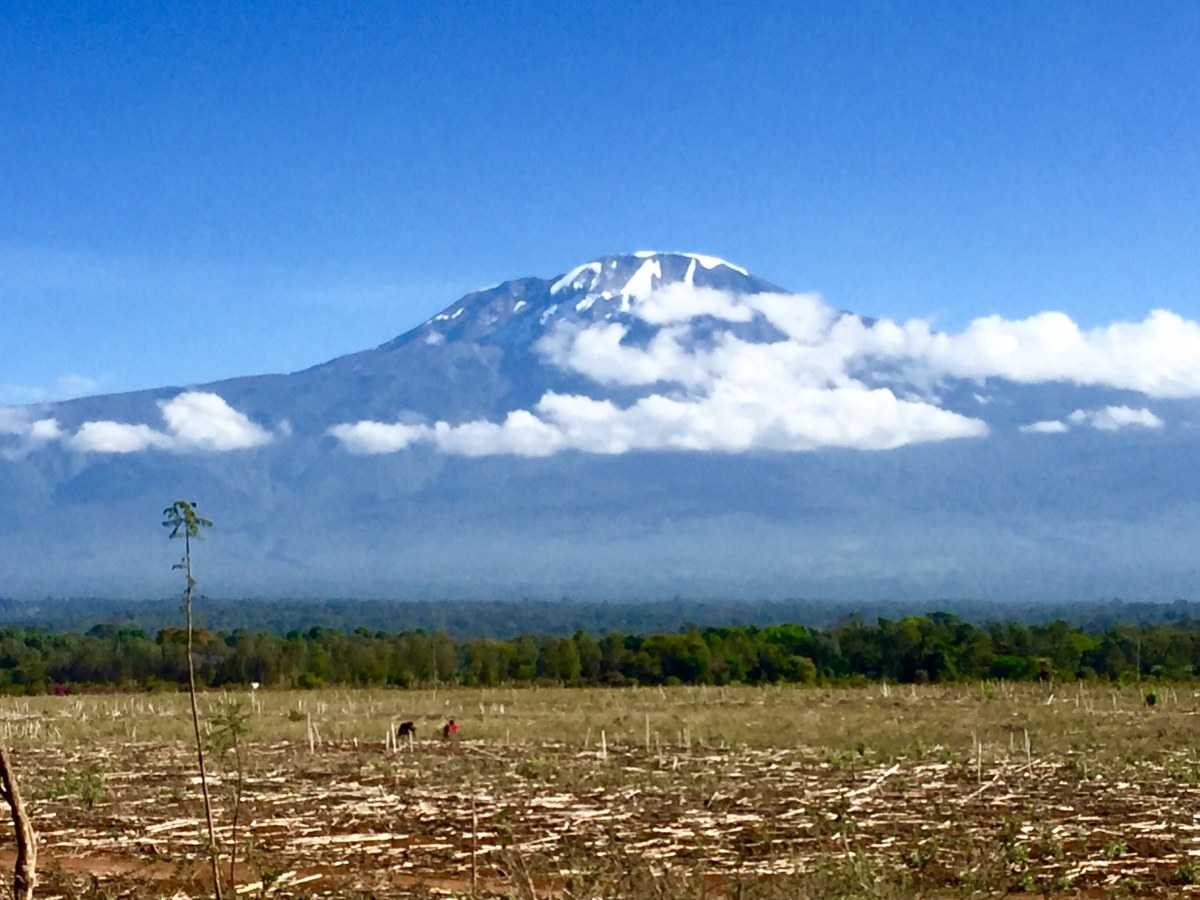 <p>Bei der Anfahrt: Mount Kilimanjaro von der Ferne. </p>