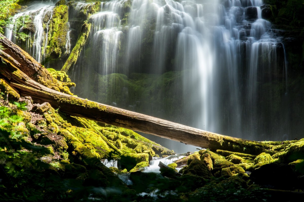 Platz vier: "Namenloser Wasserfall in Oregon"