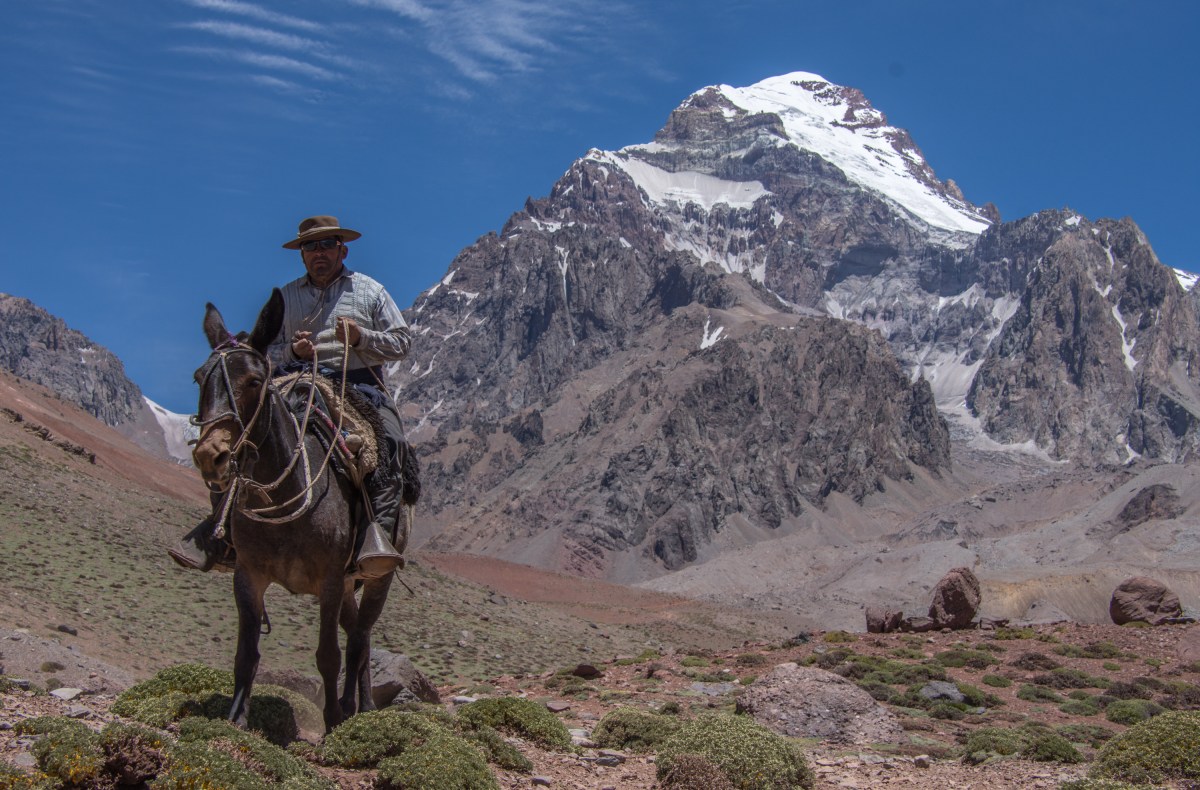 <p>Argentinische Cowboys (Arrieros) treiben locker die Mulis zum Basislager Plaza Argentina (4200 m) während es den Expeditionsteilnehmern beim Anblick des Aconcagua den Atem verschlägt.</p>