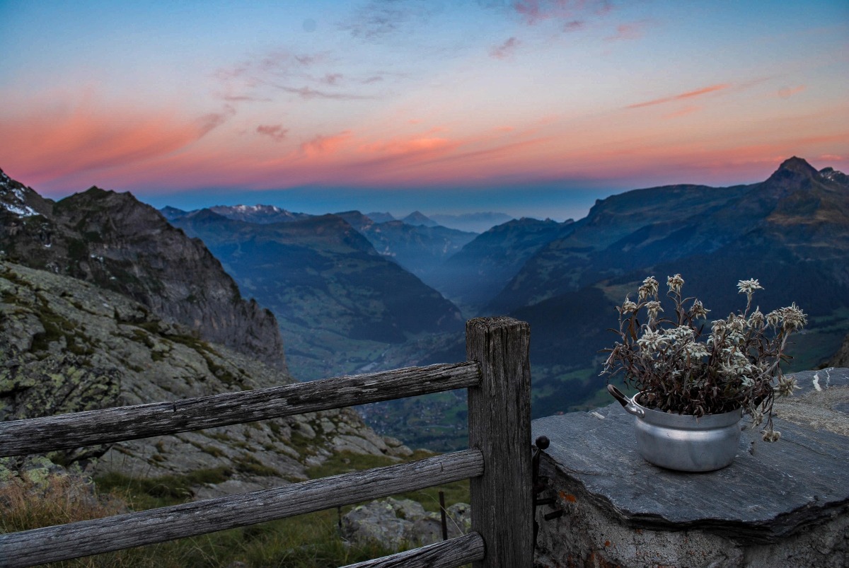 Platz zwei: "peaceful morning" (102 Punkte)