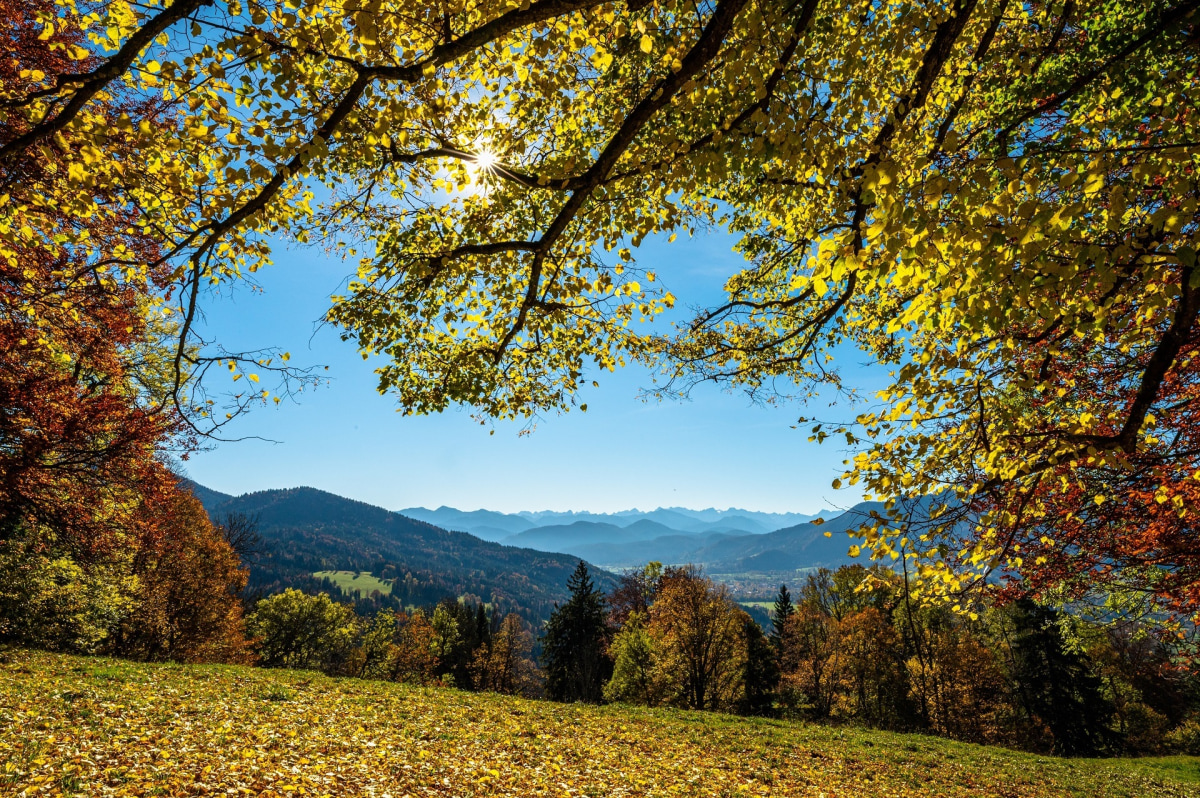 Platz 5: "Herbstliche Sunntratn"