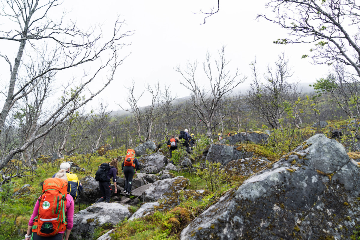 <p>Aufstieg zum Segla: Im unteren Teil überwiegen  Tundraflächen, später nehmen die Felsen zu und die Aussicht wird weiter.</p>