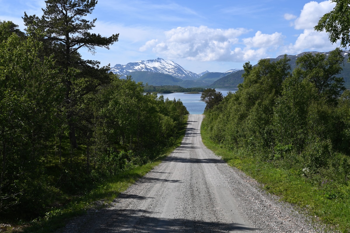 <p>Eine lange Staubstraße führt zum Bootsanleger der Insel Tranøya,  dem Paradies von Fred-Arne Danielsen und seiner Lebensgefährtin Sissel.</p>