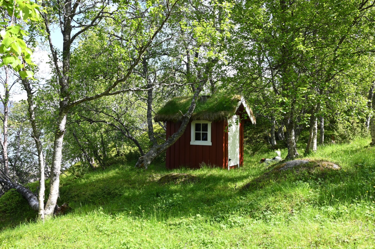 <p>Tranøya ist ein Stück Norwegen von früher. Einsam, ruhig,  erholsam …</p>