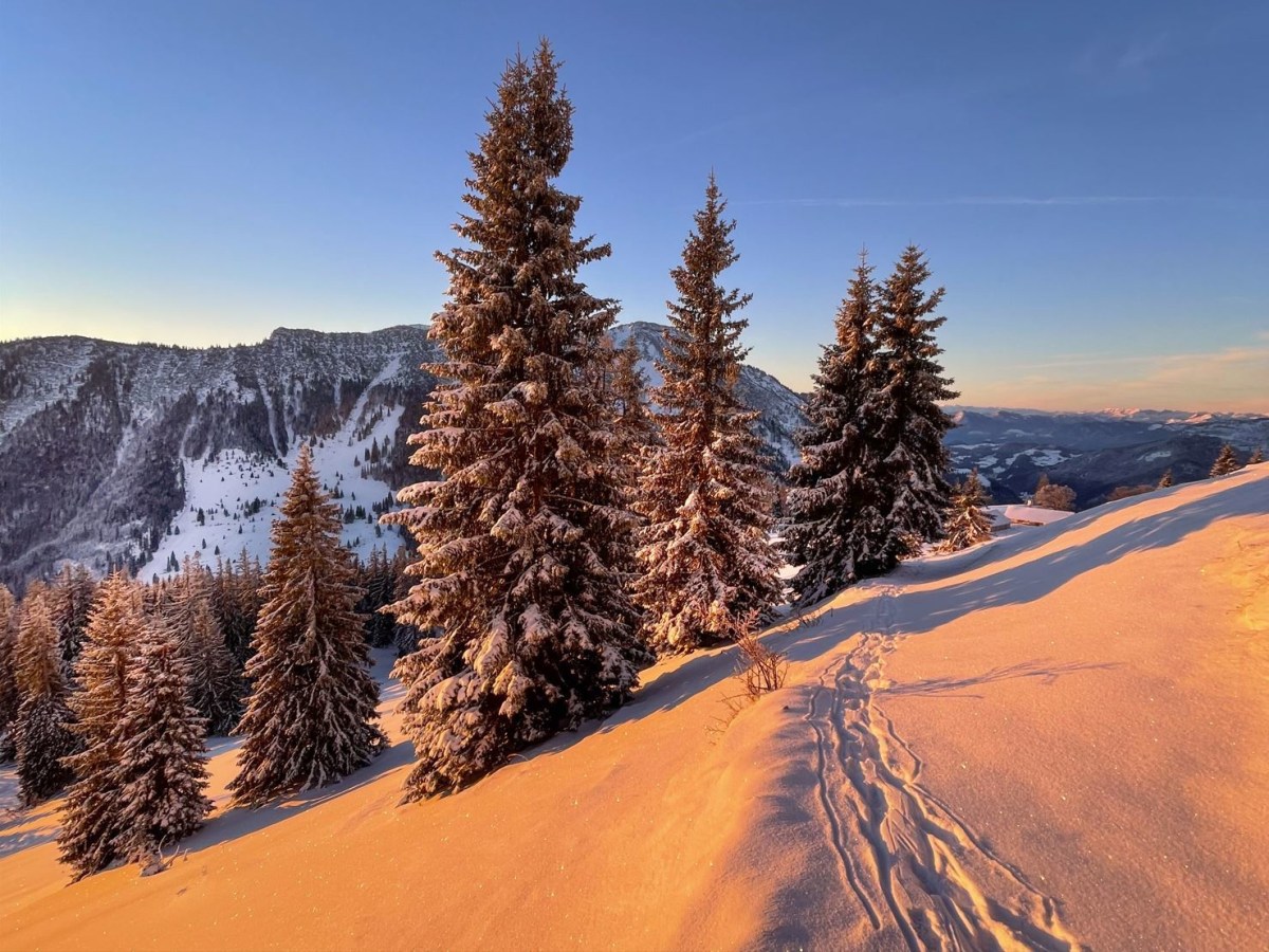Platz 5: "Ein goldener Morgen in den oberbayrischen Alpen"