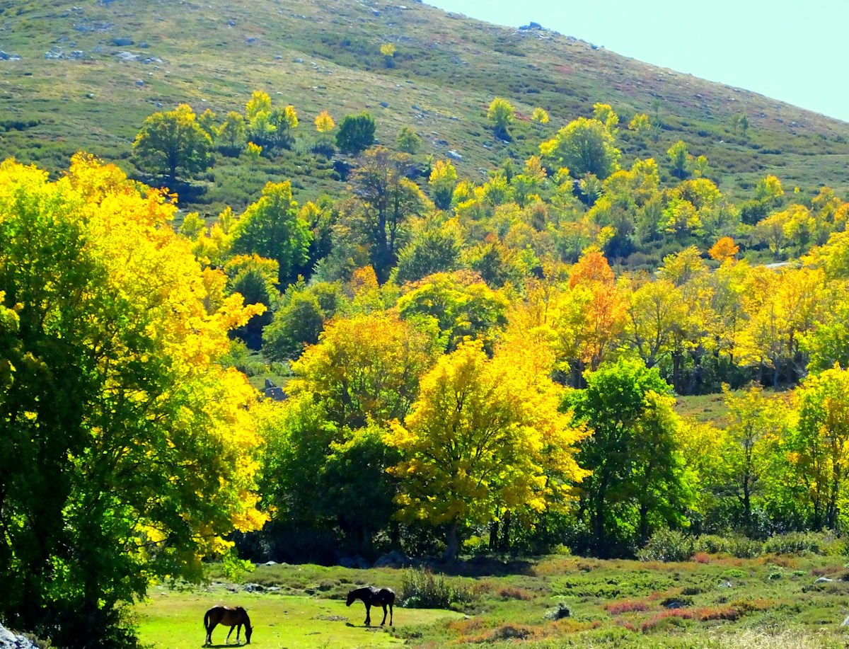 So schön kann der Herbst auch in Korsika sein.