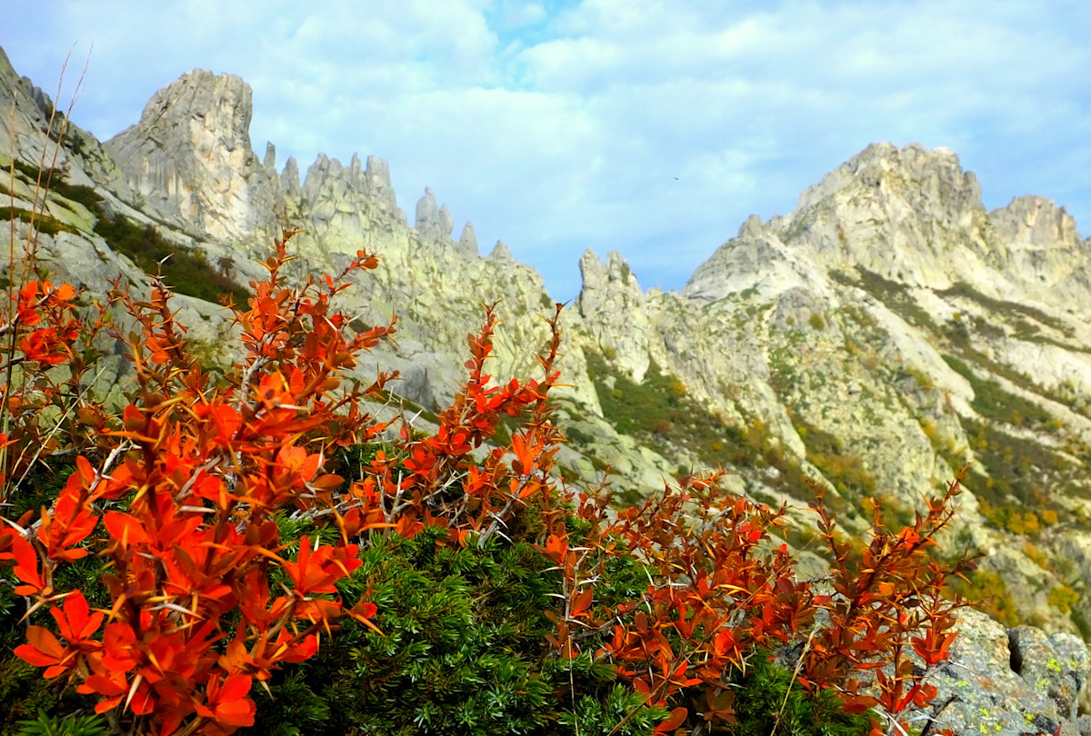 Farbenfroher Herbst