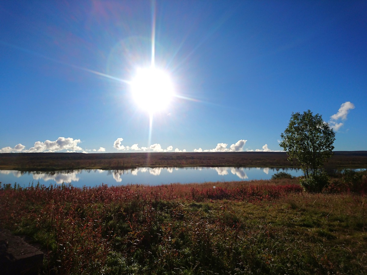 Indian Summer auf der Finnmarks Vidda