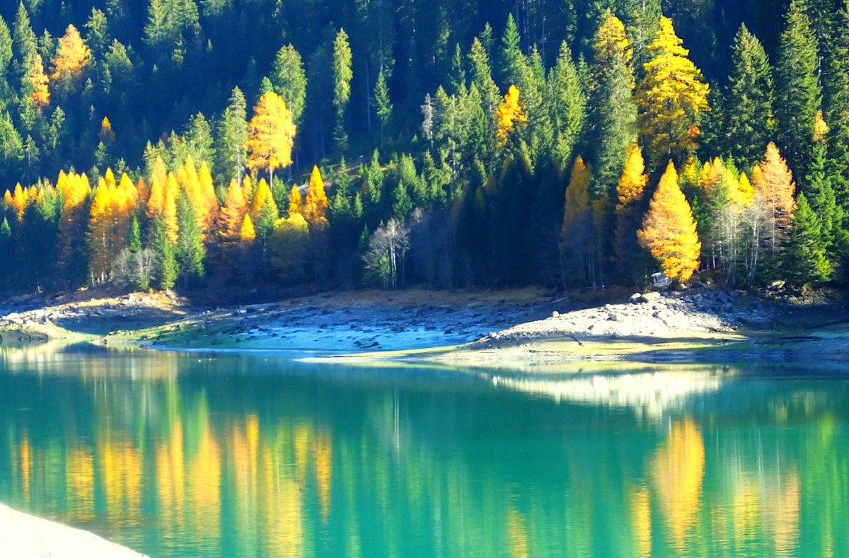 Herbst im Spiegelbild