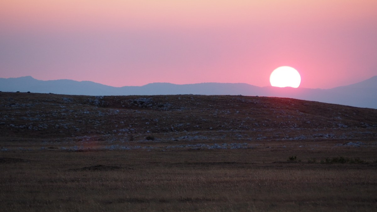 Sundowner