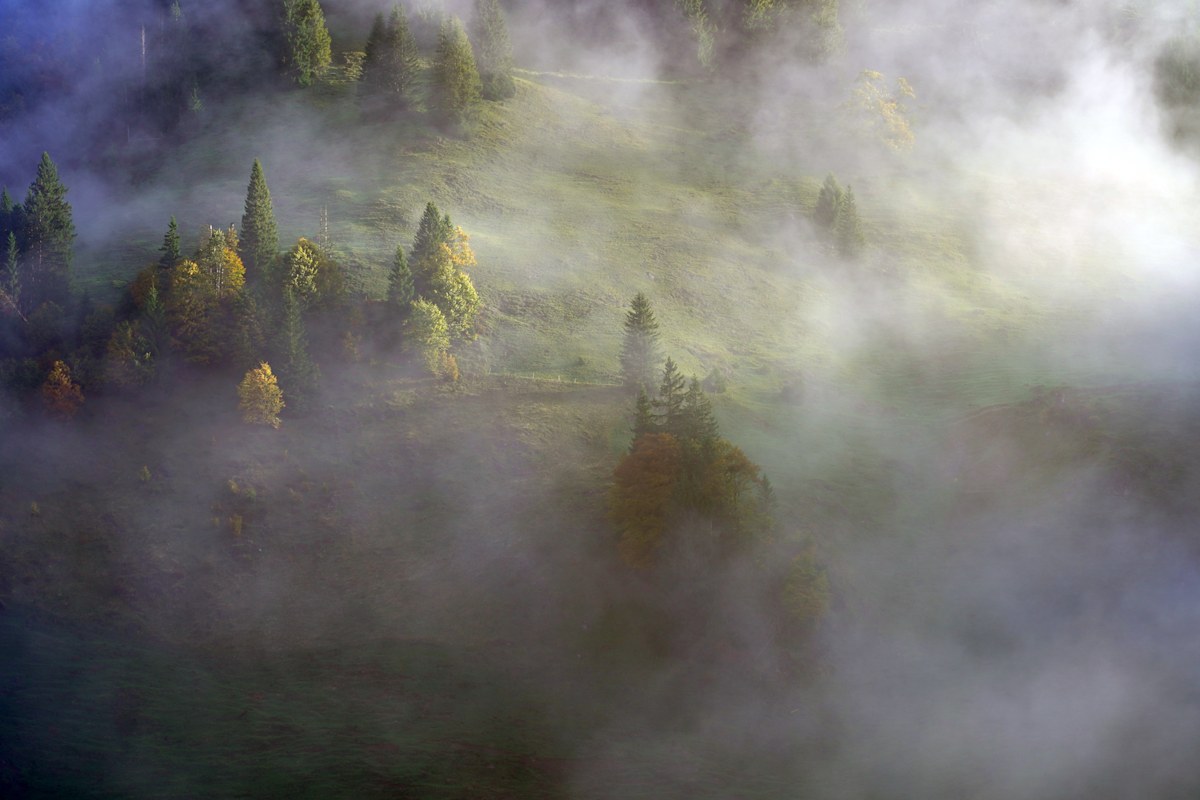 Nebel