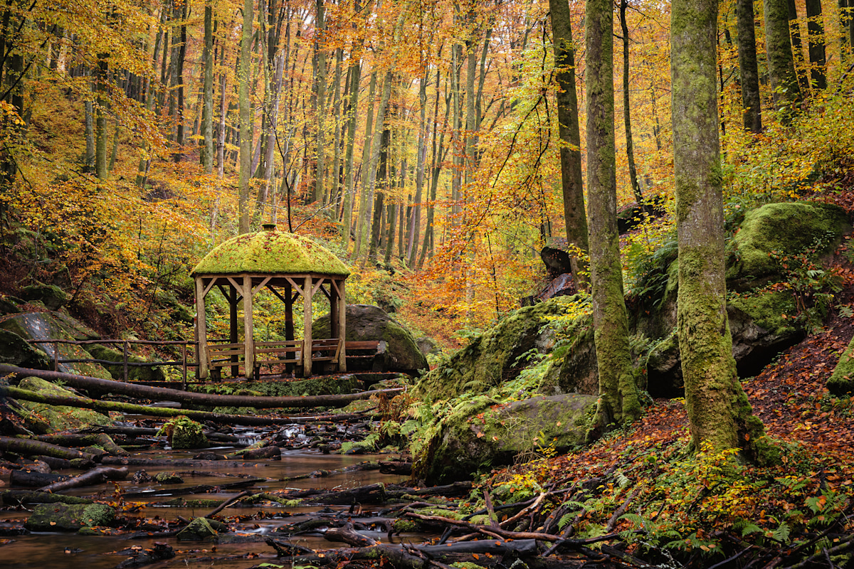 Ruhe im Herbstwald