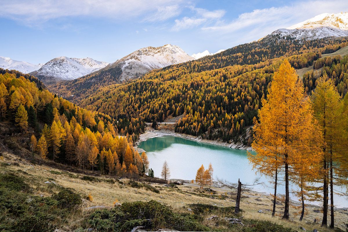 Goldener Herbst im Martelltal