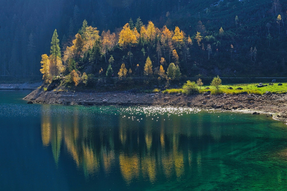 Goldgelbes Strahlen der Bäume...