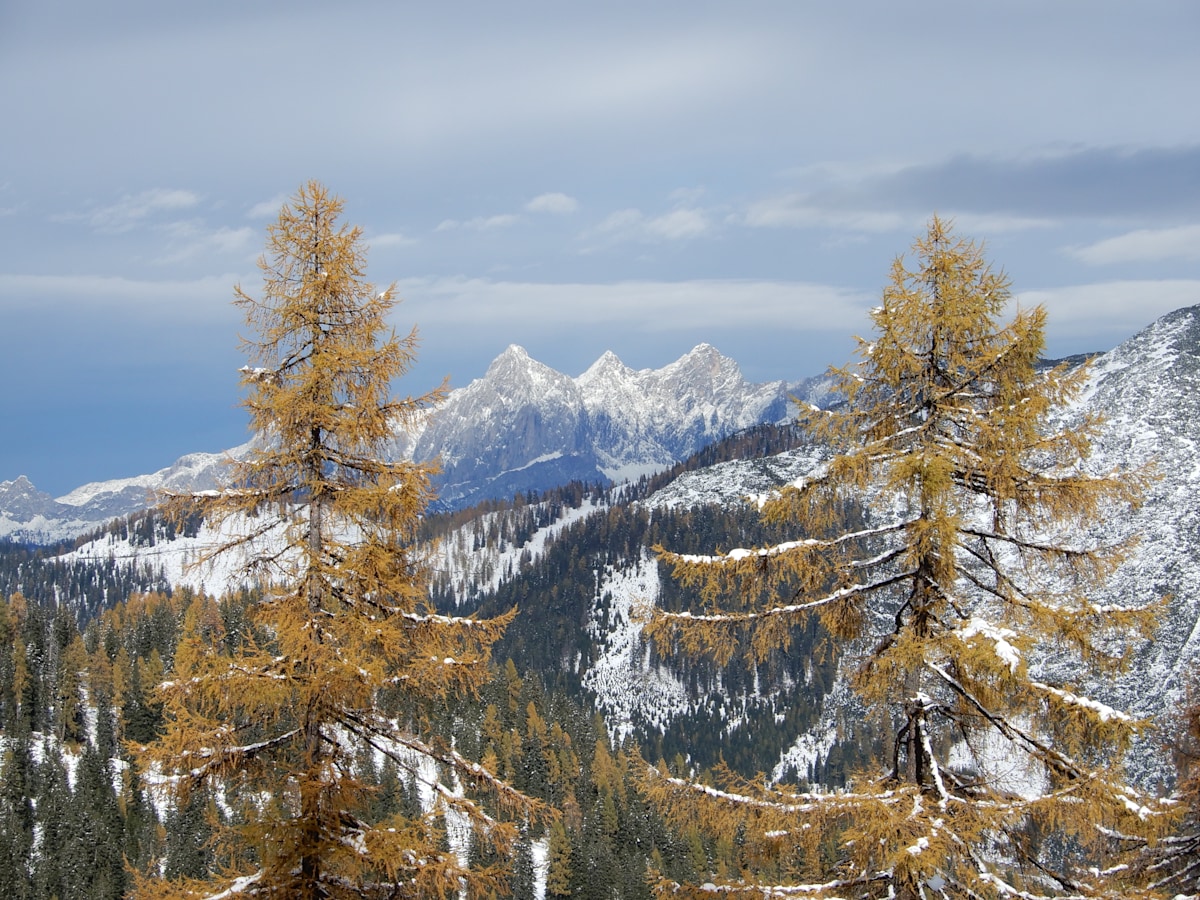 Der erste Schnee