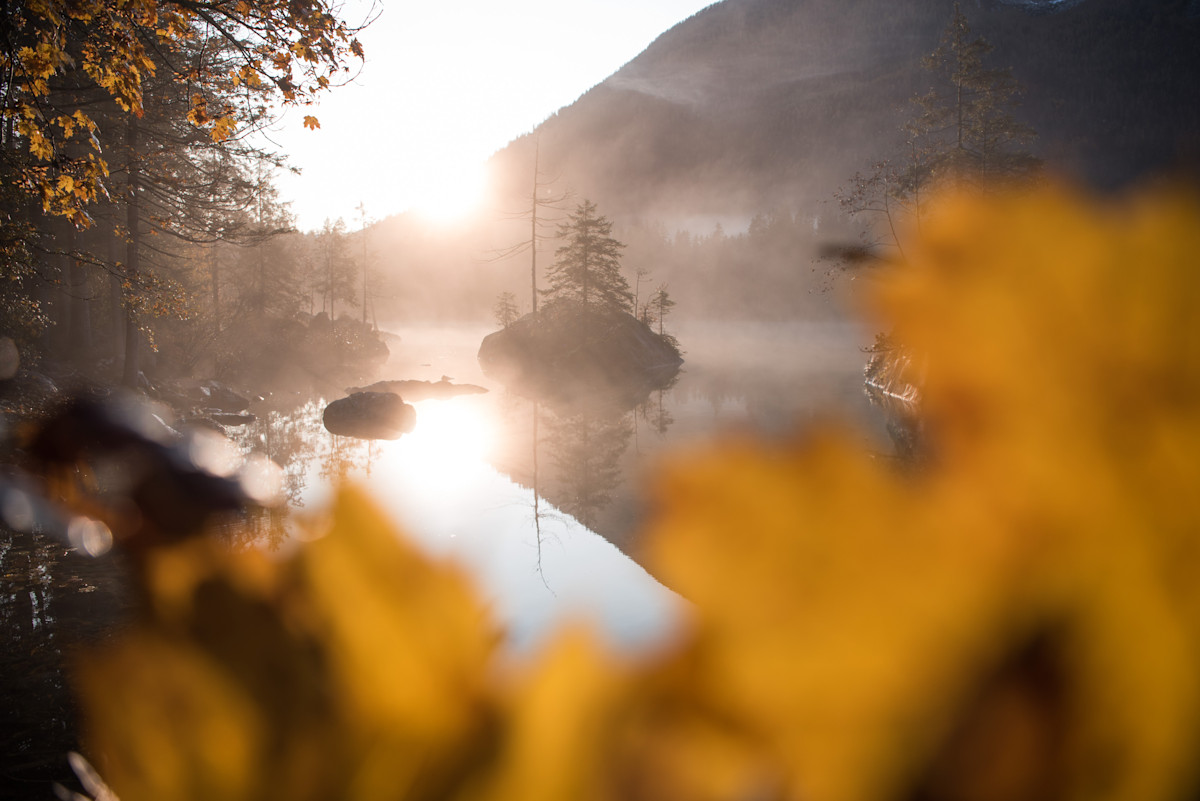 goldene Insel