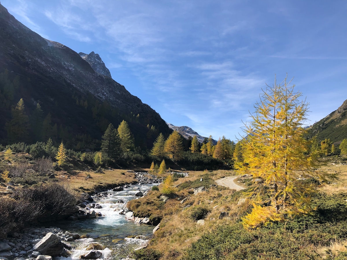 Stille
