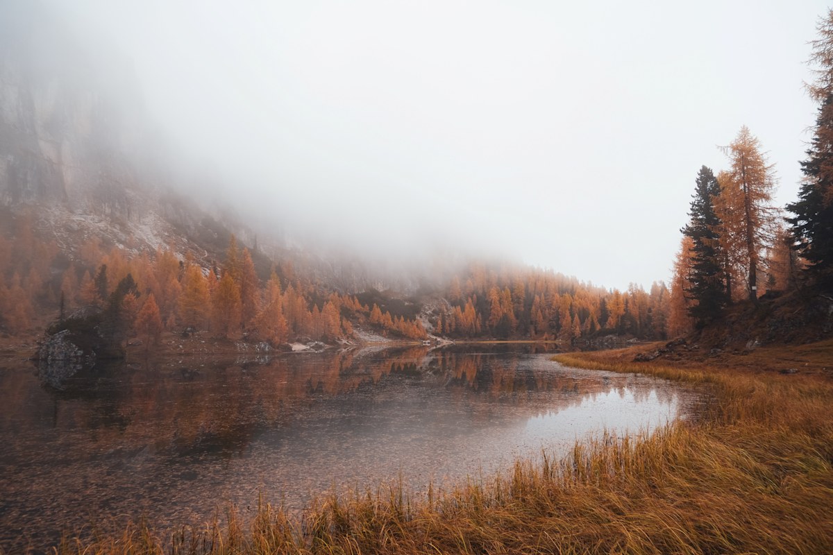 AUTUMN... the season when nature creates magic.