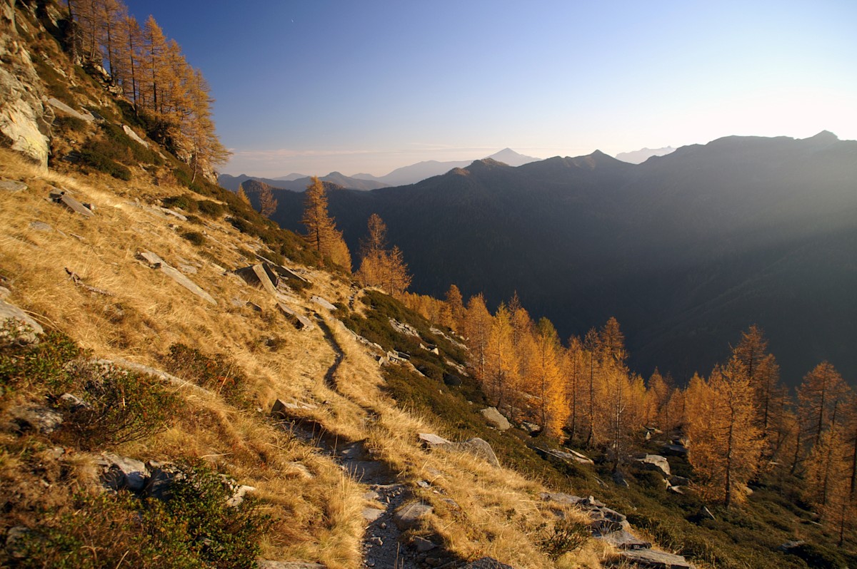 sprichwörtlicher 'Goldener Oktober'