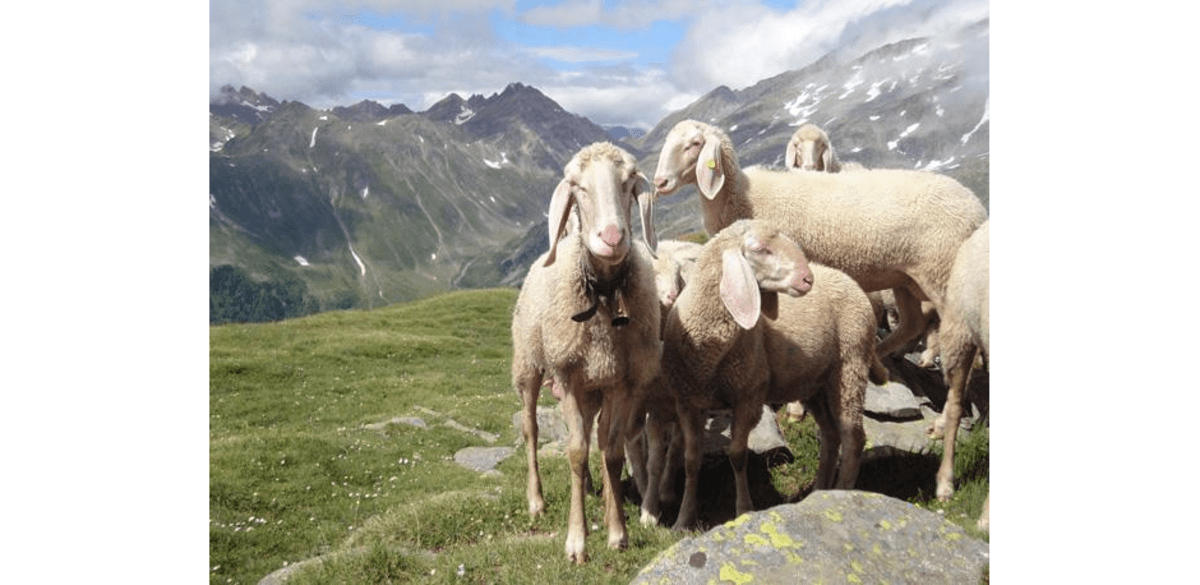 Alpenfrieden im Evas