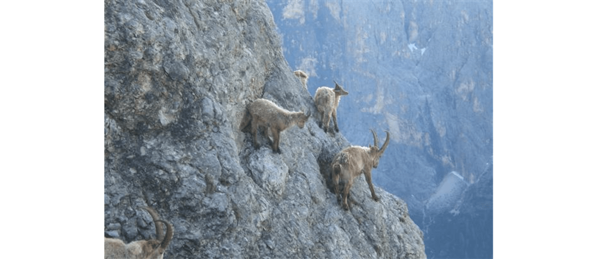 Bock auf Klettern