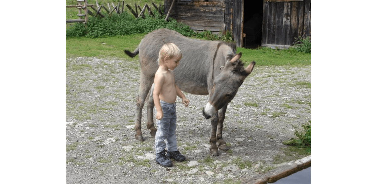 Ich und Du