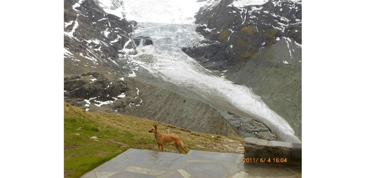 Turtmanngletscher