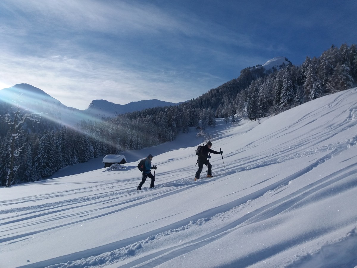 Sonne, Berge und Pulverschnee