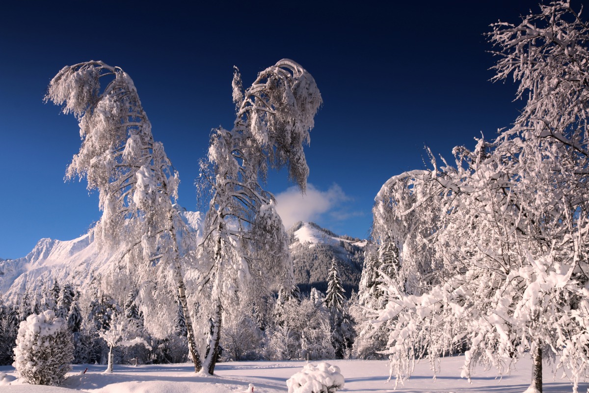 Wintertraum im Karwendelgebirge