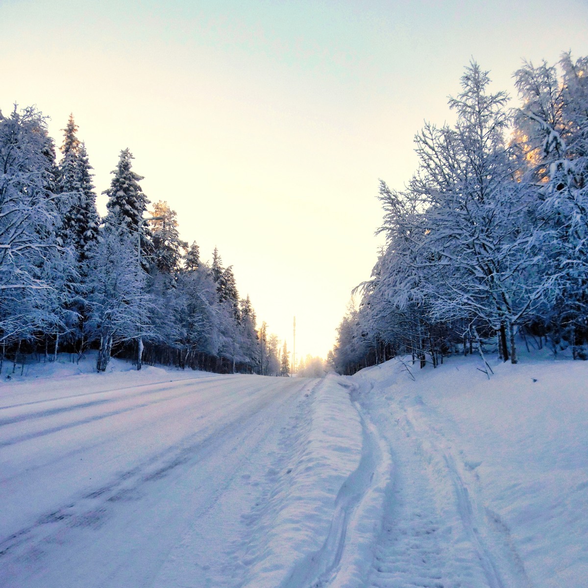 Weg ins Winterparadies