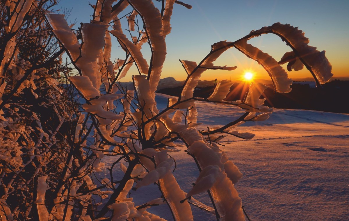 Sonnenuntergang am Hirschberg