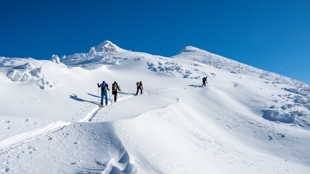 Bluebird Sky