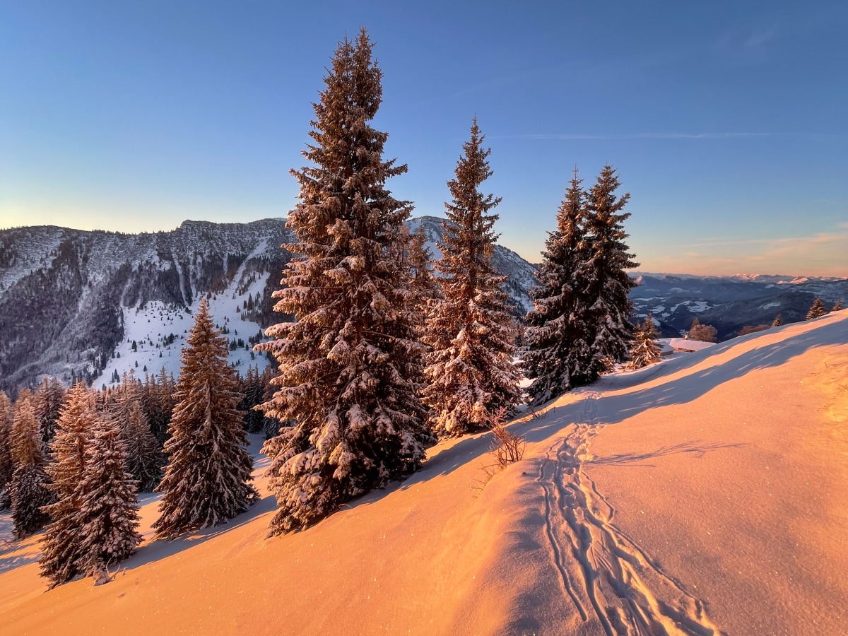 Ein goldener Morgen in den oberbayrischen Alpen