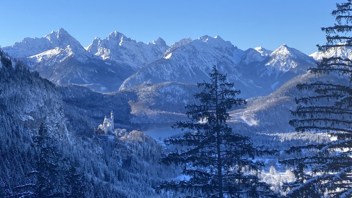 Königlicher Traum in Weiss