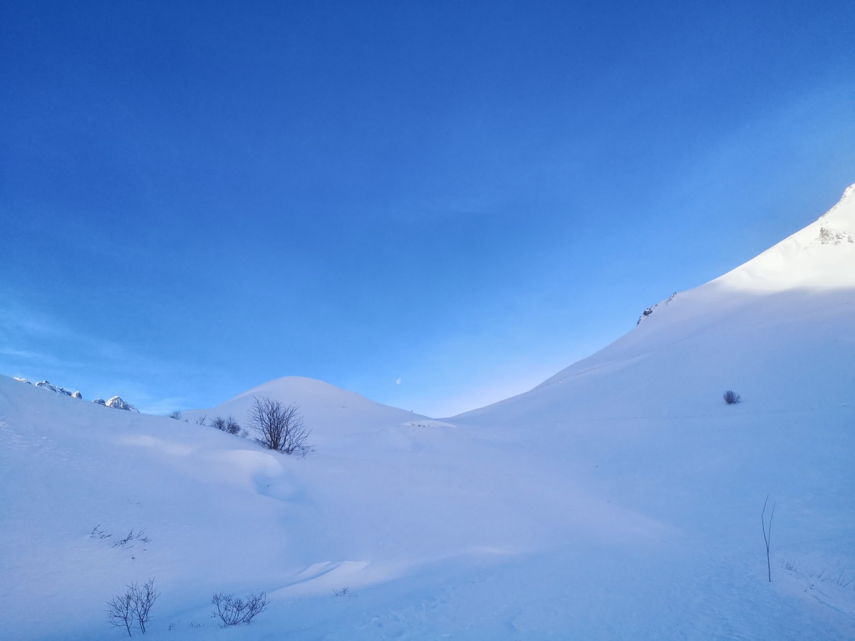 Neujahr + Neuschnee