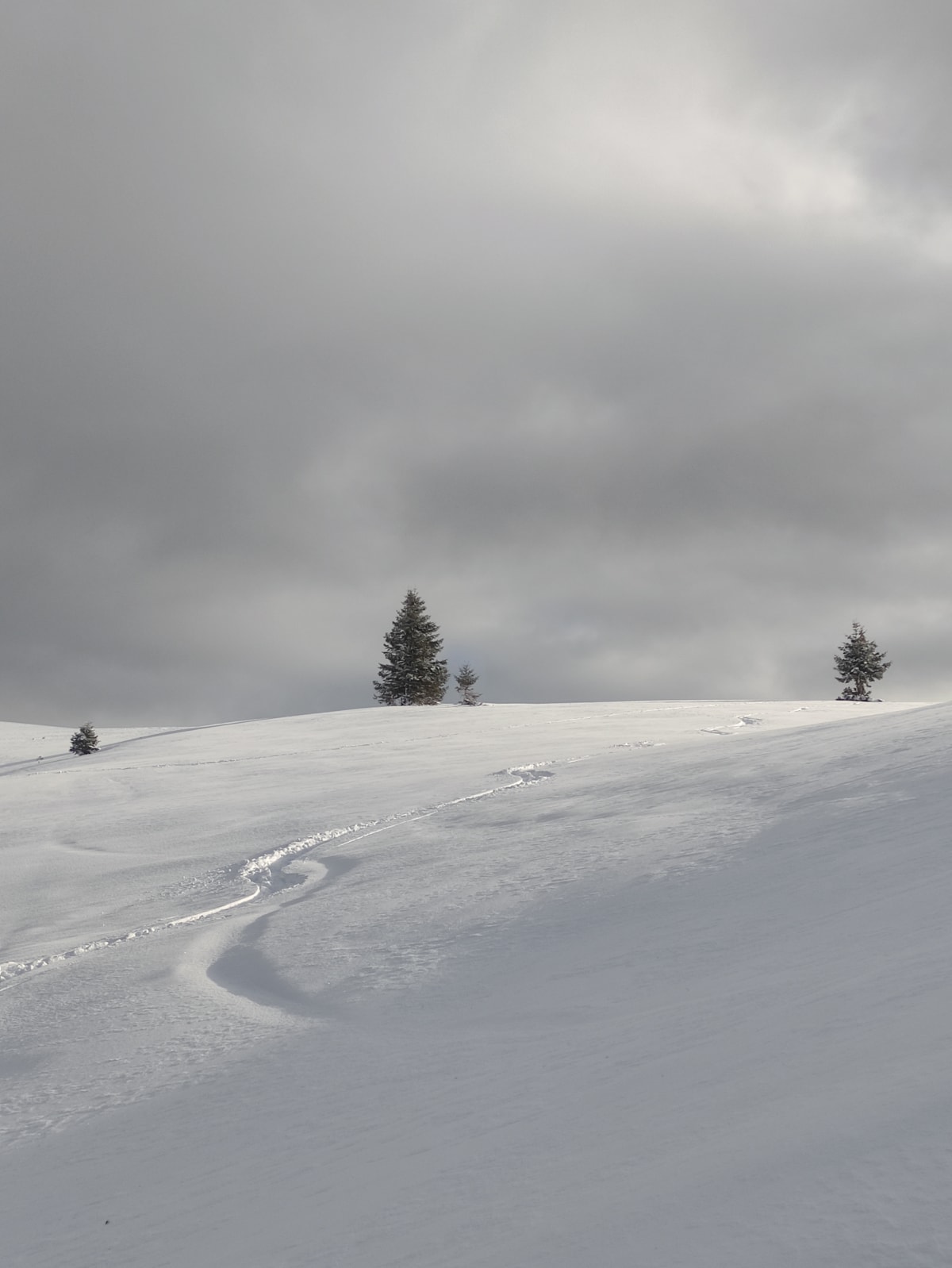 Spuren im Schnee