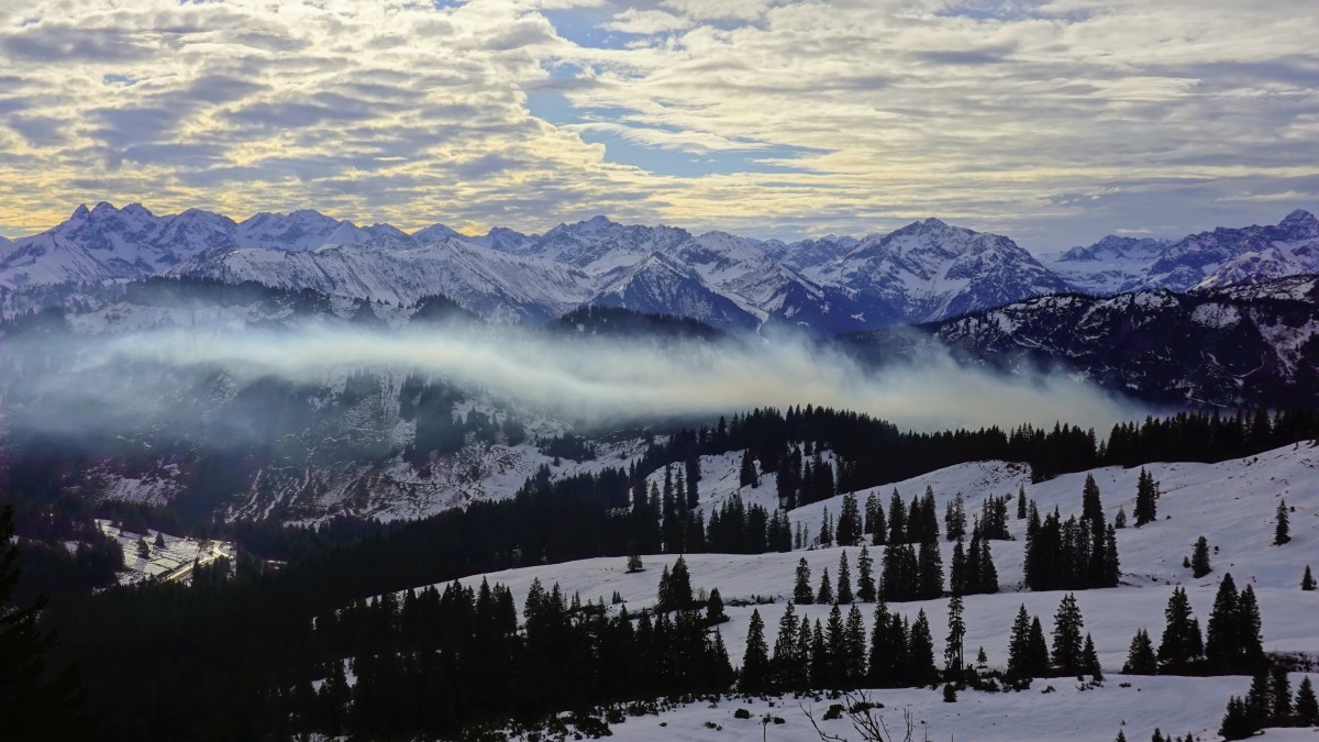 Nebelschwaden in den Allgäuer