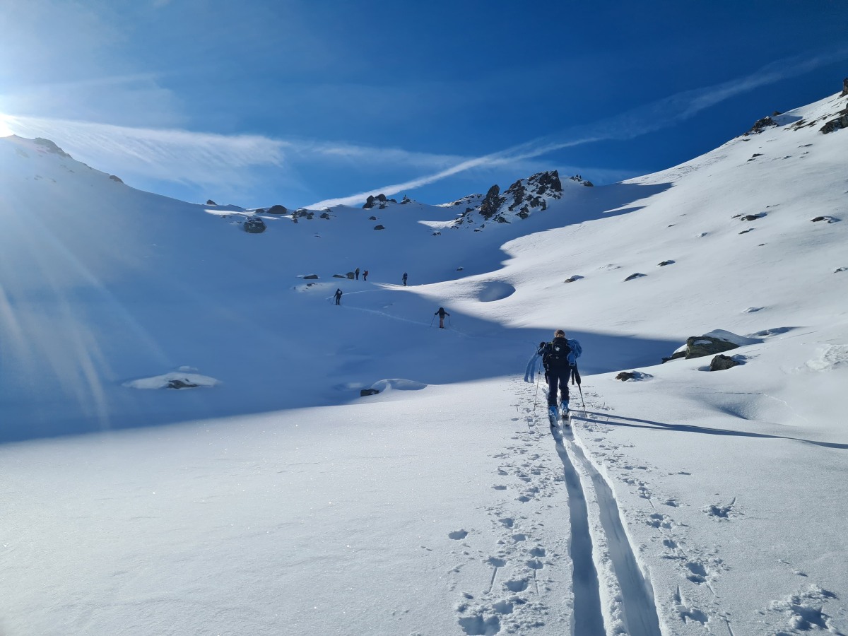 Dem Powder auf der Spur