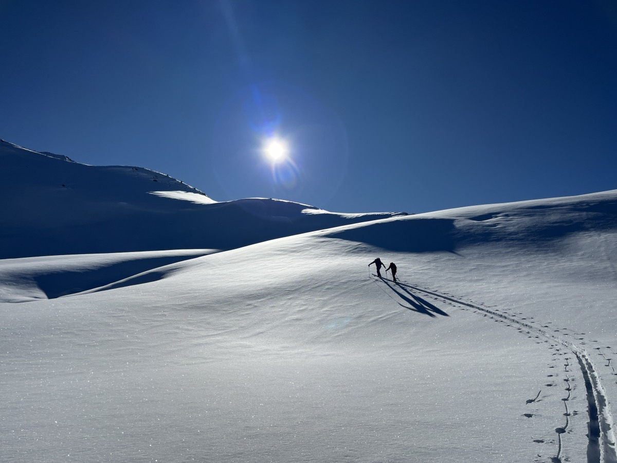Frischer Schnee - erste Spuren! 