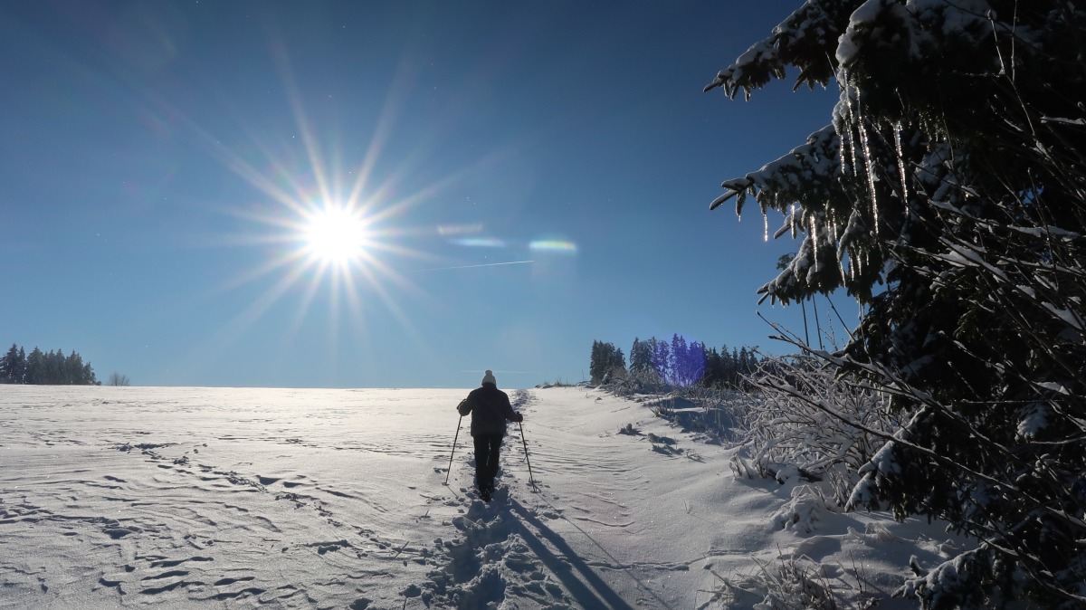 Schneeschuhwanderung im Frankenwald