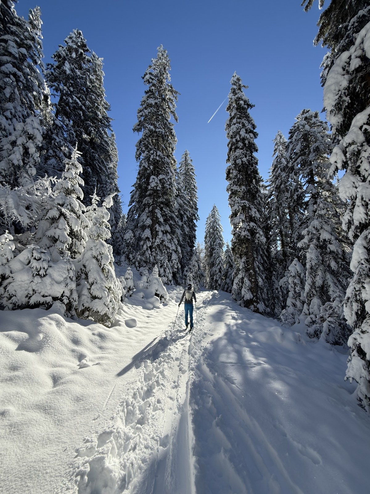 Skitour in traumhafter Winterlandschaft 