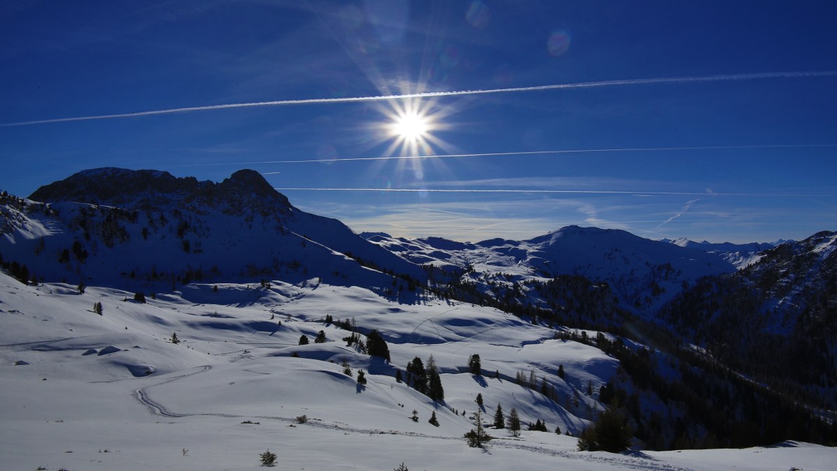 Einsame spur im Winterparadies